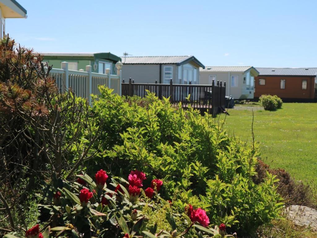 Searivers 98Lemmington By The Beach Ynyslas, Borth Exteriör bild